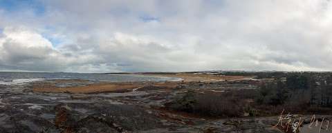 Picnic Area And Public Beach